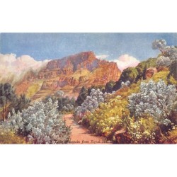 Rare collectable postcards of SOUTH AFRICA. Vintage Postcards of SOUTH AFRICA