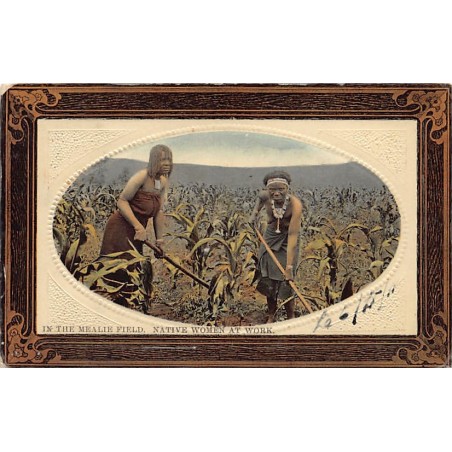 Rare collectable postcards of SOUTH AFRICA. Vintage Postcards of SOUTH AFRICA