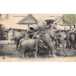 Laos - Royal elephants of...