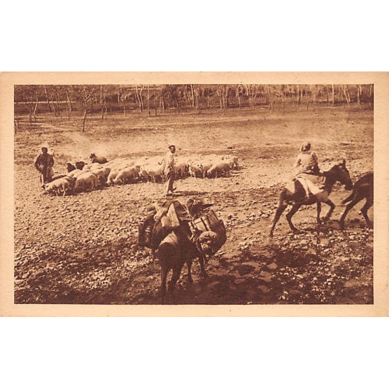 Rare collectable postcards of CHINA. Vintage Postcards of CHINA