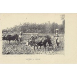 Rare collectable postcards of INDIA. Vintage Postcards of INDIA