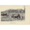 Rare collectable postcards of INDIA. Vintage Postcards of INDIA