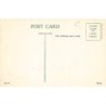Rare collectable postcards of INDIA. Vintage Postcards of INDIA