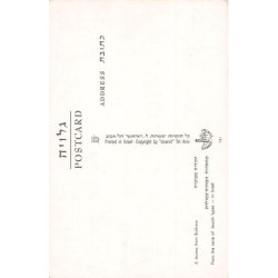 Rare collectable postcards of ISRAEL & PALESTINE. Vintage Postcards of ISRAEL & PALESTINE