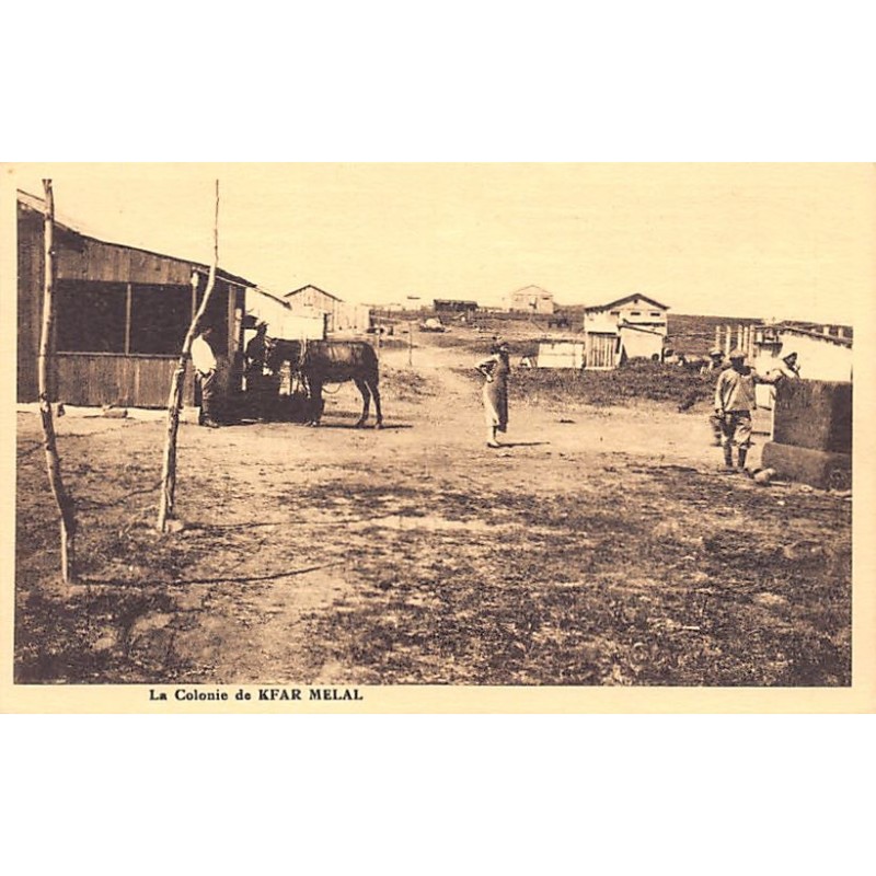 Rare collectable postcards of ISRAEL & PALESTINE. Vintage Postcards of ISRAEL & PALESTINE