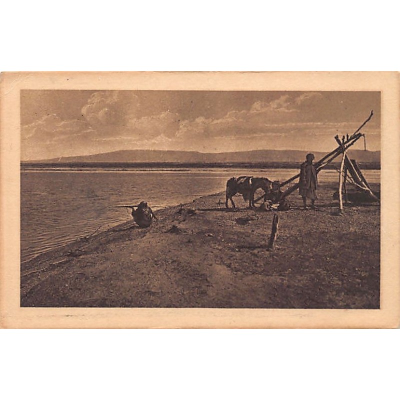 Rare collectable postcards of ISRAEL & PALESTINE. Vintage Postcards of ISRAEL & PALESTINE