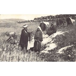 Rare collectable postcards of ISRAEL & PALESTINE. Vintage Postcards of ISRAEL & PALESTINE