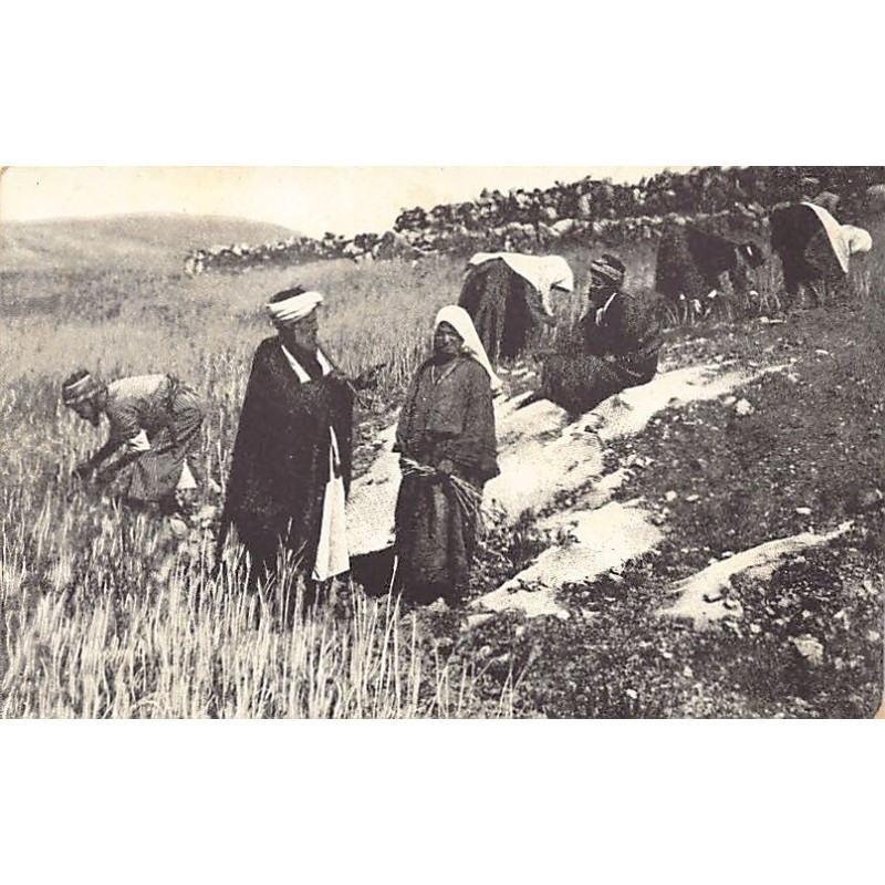 Rare collectable postcards of ISRAEL & PALESTINE. Vintage Postcards of ISRAEL & PALESTINE