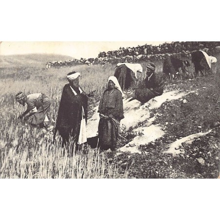 Rare collectable postcards of ISRAEL & PALESTINE. Vintage Postcards of ISRAEL & PALESTINE