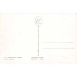 Rare collectable postcards of ISRAEL & PALESTINE. Vintage Postcards of ISRAEL & PALESTINE