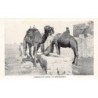 Rare collectable postcards of ISRAEL & PALESTINE. Vintage Postcards of ISRAEL & PALESTINE