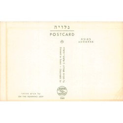 Rare collectable postcards of ISRAEL & PALESTINE. Vintage Postcards of ISRAEL & PALESTINE