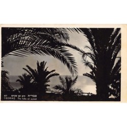 Rare collectable postcards of ISRAEL & PALESTINE. Vintage Postcards of ISRAEL & PALESTINE