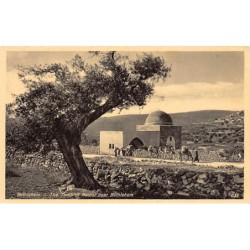 Rare collectable postcards of ISRAEL & PALESTINE. Vintage Postcards of ISRAEL & PALESTINE