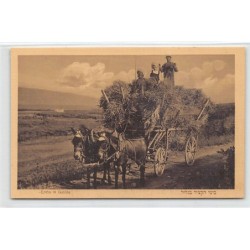 Rare collectable postcards of ISRAEL & PALESTINE. Vintage Postcards of ISRAEL & PALESTINE