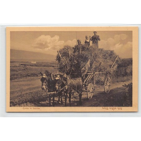 Rare collectable postcards of ISRAEL & PALESTINE. Vintage Postcards of ISRAEL & PALESTINE