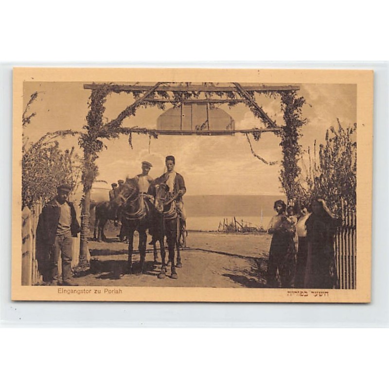 Rare collectable postcards of ISRAEL & PALESTINE. Vintage Postcards of ISRAEL & PALESTINE