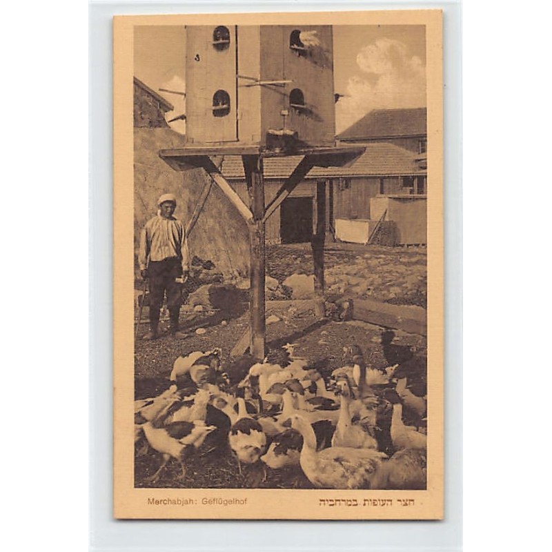 Rare collectable postcards of ISRAEL & PALESTINE. Vintage Postcards of ISRAEL & PALESTINE