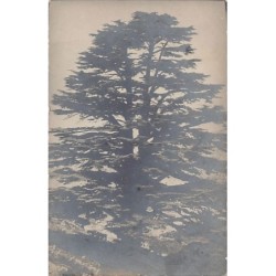 Rare collectable postcards of LEBANON. Vintage Postcards of LEBANON