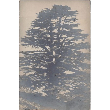 Rare collectable postcards of LEBANON. Vintage Postcards of LEBANON