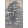 Rare collectable postcards of LEBANON. Vintage Postcards of LEBANON