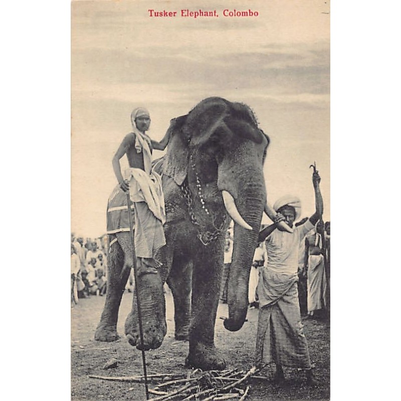 Rare collectable postcards of SRI LANKA. Vintage Postcards of SRI LANKA