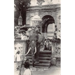 Rare collectable postcards of SRI LANKA. Vintage Postcards of SRI LANKA