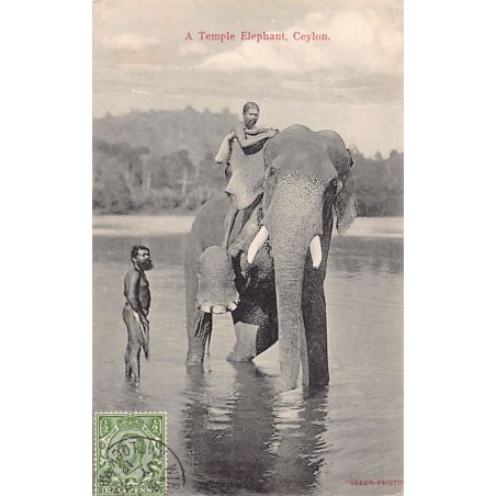 Rare collectable postcards of SRI LANKA. Vintage Postcards of SRI LANKA