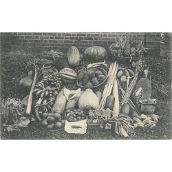 Rare collectable postcards of SRI LANKA. Vintage Postcards of SRI LANKA