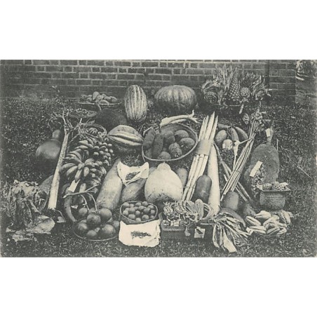 Rare collectable postcards of SRI LANKA. Vintage Postcards of SRI LANKA