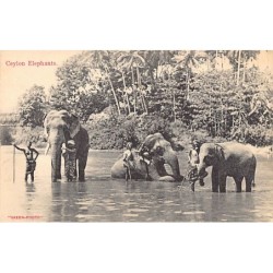 Rare collectable postcards of SRI LANKA. Vintage Postcards of SRI LANKA
