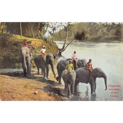 Rare collectable postcards of SRI LANKA. Vintage Postcards of SRI LANKA