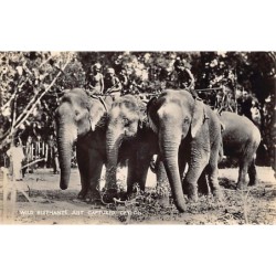 Rare collectable postcards of SRI LANKA. Vintage Postcards of SRI LANKA
