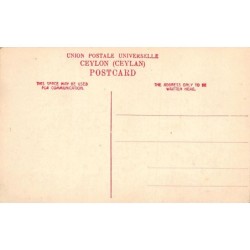 Rare collectable postcards of SRI LANKA. Vintage Postcards of SRI LANKA