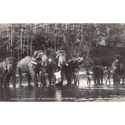 Rare collectable postcards of SRI LANKA. Vintage Postcards of SRI LANKA