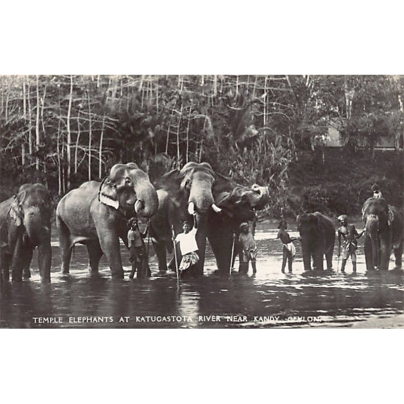 Rare collectable postcards of SRI LANKA. Vintage Postcards of SRI LANKA