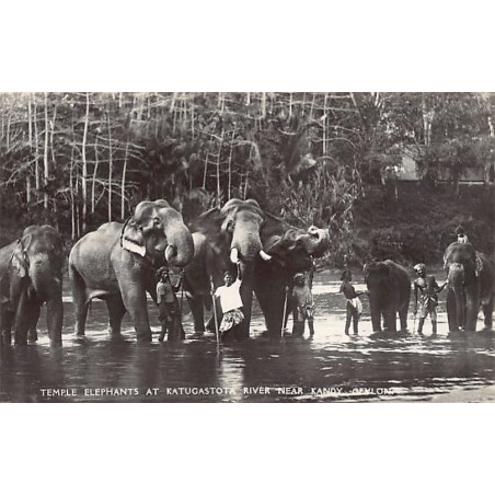 Rare collectable postcards of SRI LANKA. Vintage Postcards of SRI LANKA