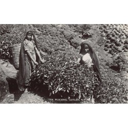 Rare collectable postcards of SRI LANKA. Vintage Postcards of SRI LANKA