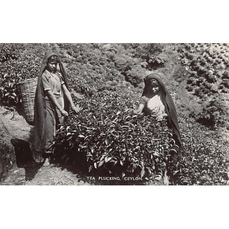 Rare collectable postcards of SRI LANKA. Vintage Postcards of SRI LANKA