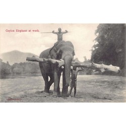 Rare collectable postcards of SRI LANKA. Vintage Postcards of SRI LANKA
