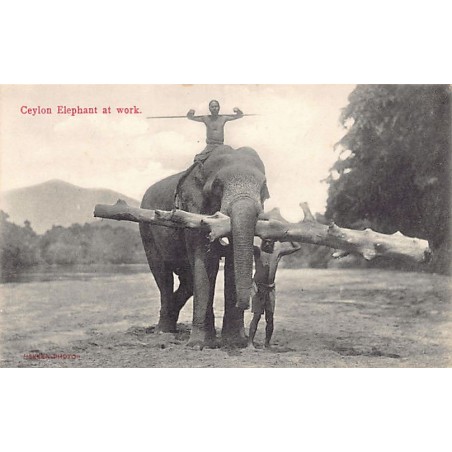Rare collectable postcards of SRI LANKA. Vintage Postcards of SRI LANKA