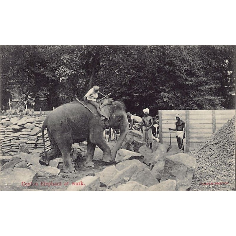 Rare collectable postcards of SRI LANKA. Vintage Postcards of SRI LANKA