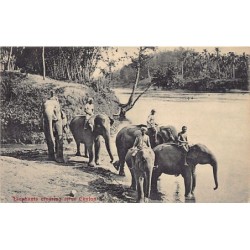 Rare collectable postcards of SRI LANKA. Vintage Postcards of SRI LANKA