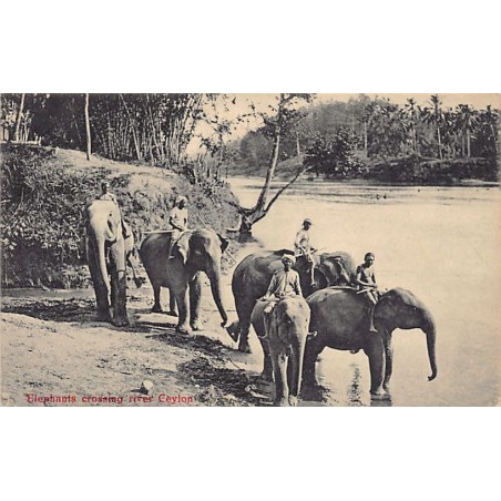 Rare collectable postcards of SRI LANKA. Vintage Postcards of SRI LANKA