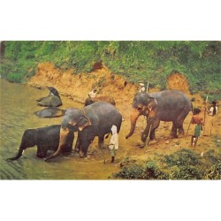 Rare collectable postcards of SRI LANKA. Vintage Postcards of SRI LANKA