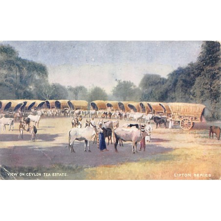 Rare collectable postcards of SRI LANKA. Vintage Postcards of SRI LANKA