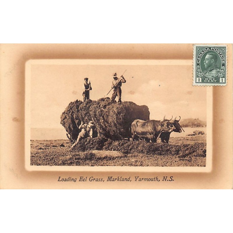 Rare collectable postcards of CANADA. Vintage Postcards of CANADA