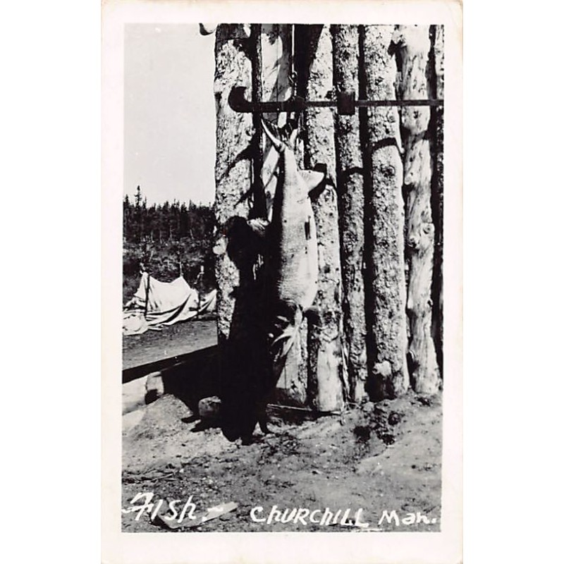 Rare collectable postcards of CANADA. Vintage Postcards of CANADA