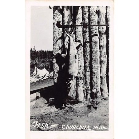 Rare collectable postcards of CANADA. Vintage Postcards of CANADA