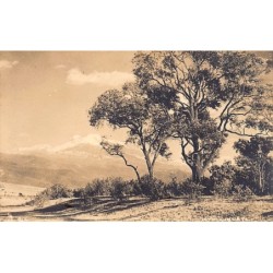 Rare collectable postcards of MEXICO. Vintage Postcards of MEXICO